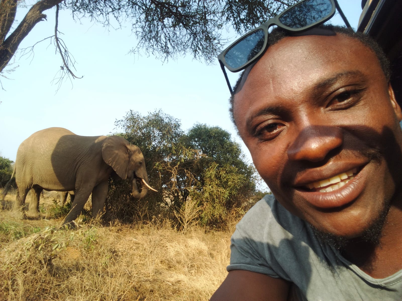 Branzino sorridente nella savana con un elefante sullo sfondo allo Tsavo Est